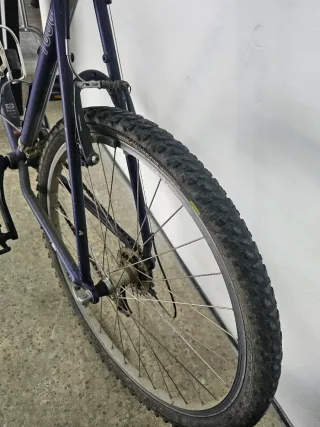 Bicicleta Trek Morada