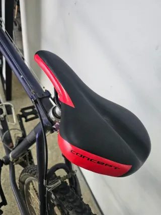 Bicicleta Trek Morada