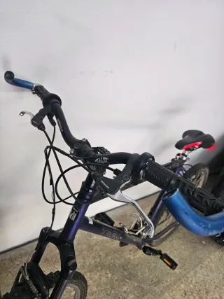 Bicicleta Trek Morada