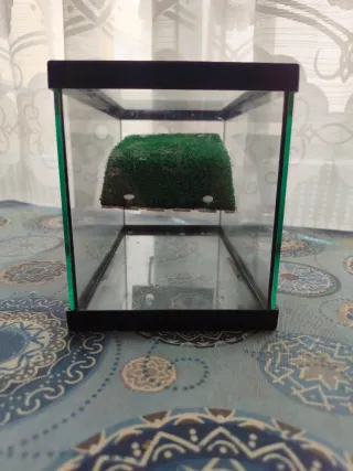 Terrario con rampa césped para reptiles