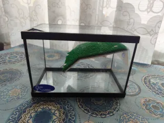Terrario con rampa césped para reptiles