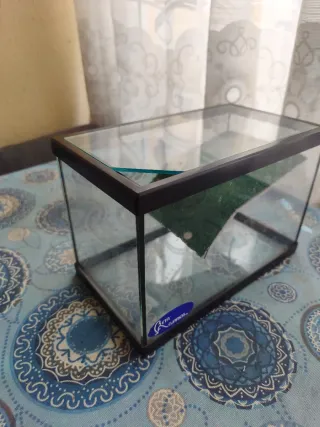 Terrario con rampa césped para reptiles