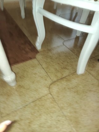 Sei sedie barocche in legno e pelle (da rifoderare