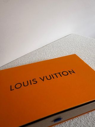 Louis Vuitton Borsa a Tracolla Monogram