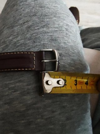 Broche Hamilton Marrón/Plateado