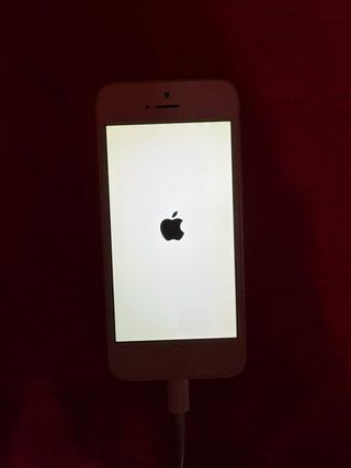 iPhone 5 Argento