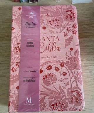 Biblia RVR 1960 letra grande