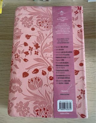 Biblia RVR 1960 letra grande