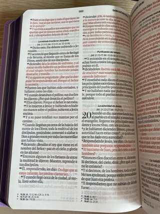 Biblia RVR 1960 letra grande