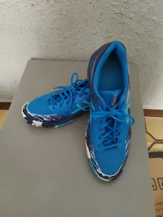 Zapatillas Asics Azules y Multicolor