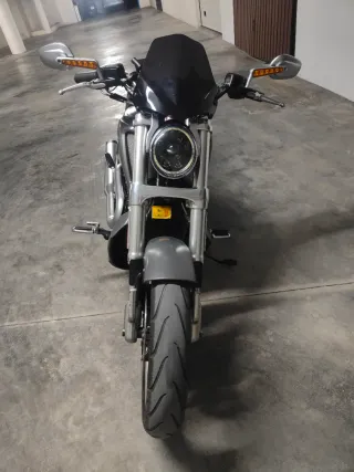 Harley Davidson V-Rod Muscle Gris
