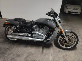 Harley Davidson V-Rod Muscle Gris