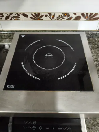 Placa Inducción Profesional 3500W