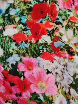 Top floral Zara Talla XS