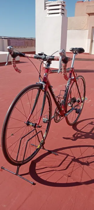 Bicicleta Massi Carbon Fiber Felt Roja