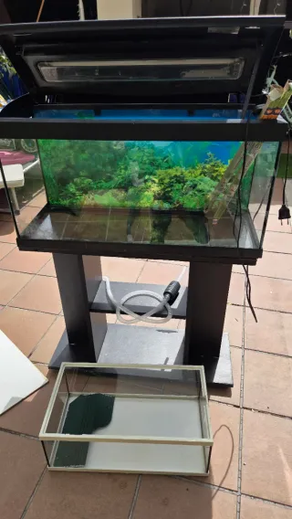 Acuario con mueble negro