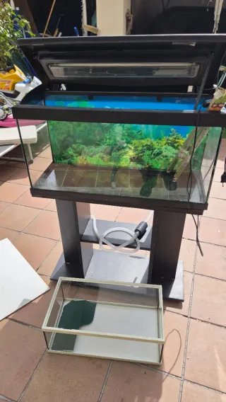 Acuario con mueble negro