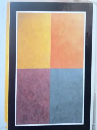 Pintor profesional rapido