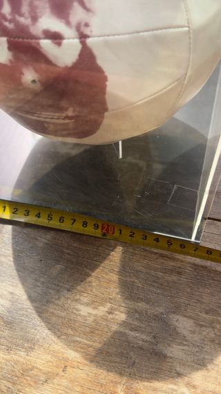 Pelota Wilson Película Náufrago con Vitrina