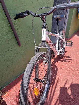 Bicicleta Infantil Rockrider 20