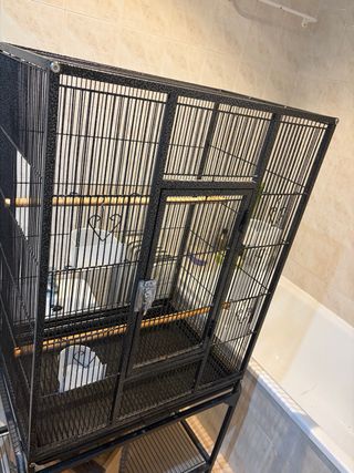 Jaula grande para loros