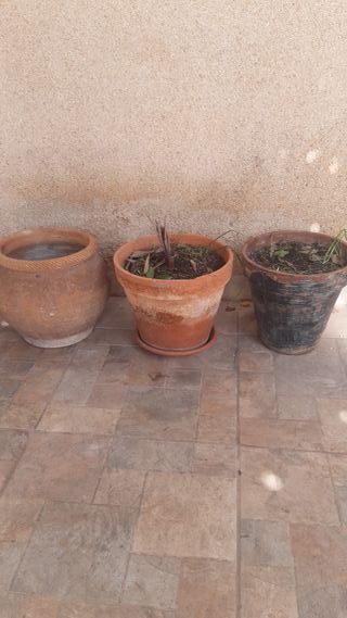 Lote 3 Macetas Barro y Plástico