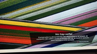 LG OLED 55 OLED55C9MLB 2020