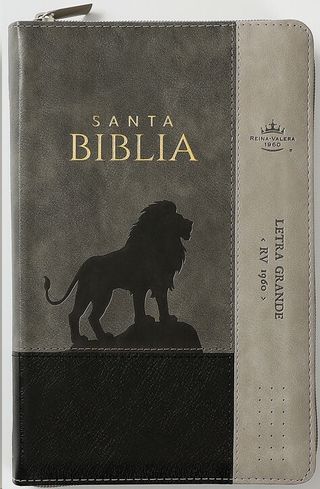biblia RVR 1960 letra grande