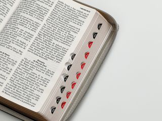 biblia RVR 1960 letra grande