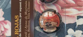 6 Placas Cava Casal Rojas Reproducciones Pinturas