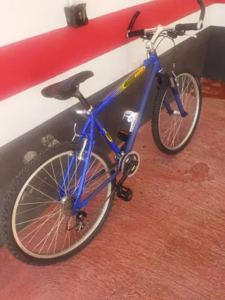 Bicicleta Montaña Talla XL