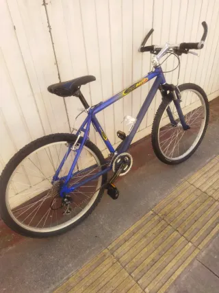 Bicicleta Montaña Talla XL