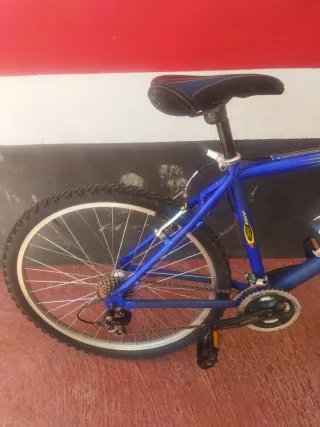 Bicicleta Montaña Talla XL