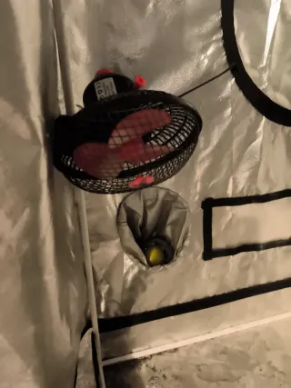 Armario completo 600w sodio solo 1 cultivo