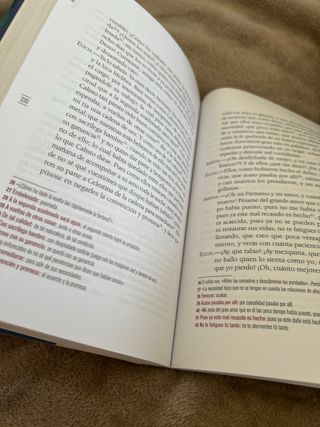 La Celestina (Clásicos de la literatura) (Spani...