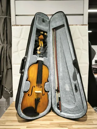 Violín 4/4 Karpathi con Estuche