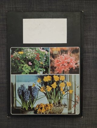 El libro de las flores y plantas
