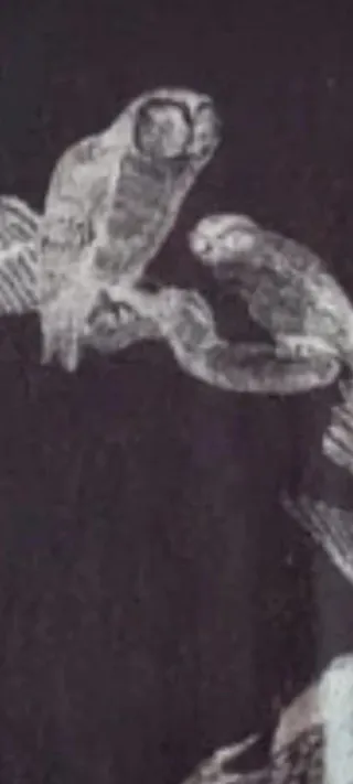 Camiseta Zara Hombre T-L Dibujo Calavera