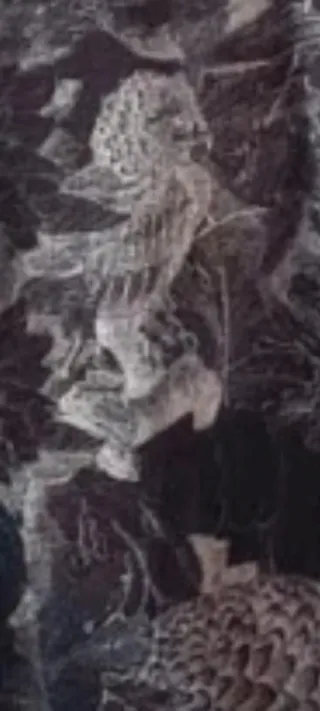 Camiseta Zara Hombre T-L Dibujo Calavera