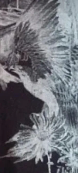 Camiseta Zara Hombre T-L Dibujo Calavera