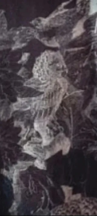 Camiseta Zara Hombre T-L Dibujo Calavera