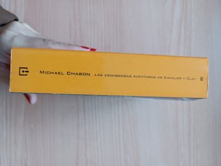 Las asombrosas aventuras de Kavalier y Clay - Mich