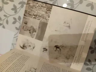 Libro The Secret Life of Salvador Dalí