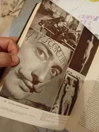Libro The Secret Life of Salvador Dalí