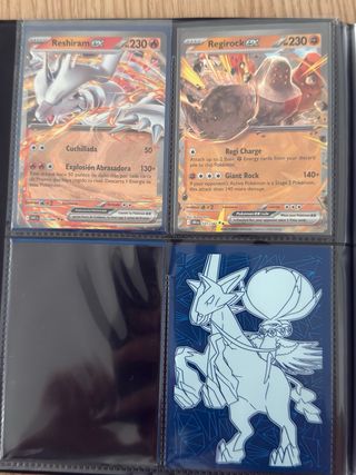 Álbum Cartas Pokémon Variado