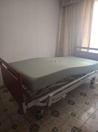 Cama Geriátrica Articulada