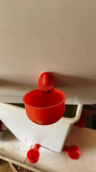 Comederos y Bebederos para Gallinas