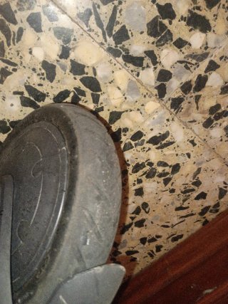 Patinete Xiaomi Eléctrico