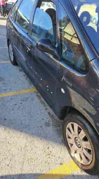 Citroen Picasso x sara