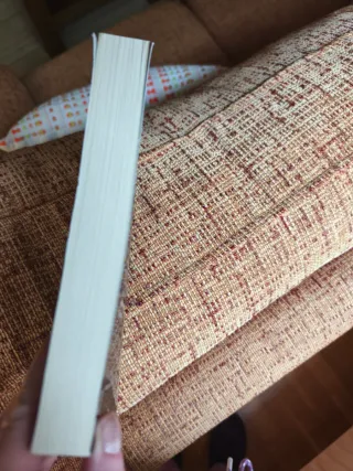 Verity. La sombra de un engaño.